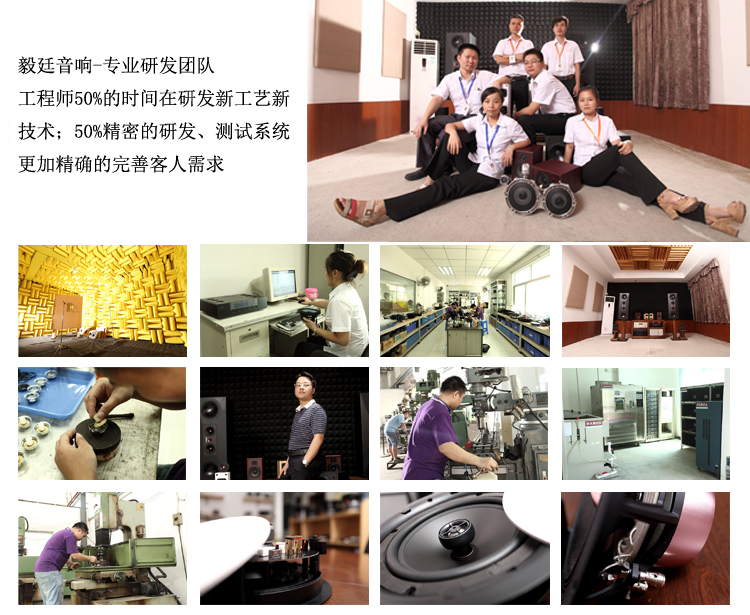 31mm蓝牙音箱小喇叭研发团队